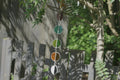 Halfcircle Suncatcher Purple/Blue/Green/Orange/B&W